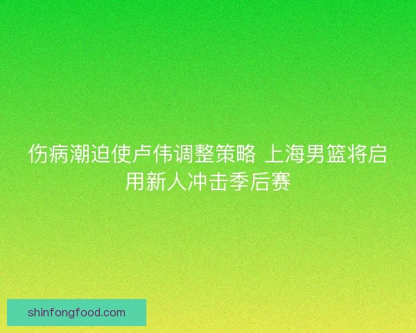 伤病潮迫使卢伟调整策略 上海男篮将启用新人冲击季后赛